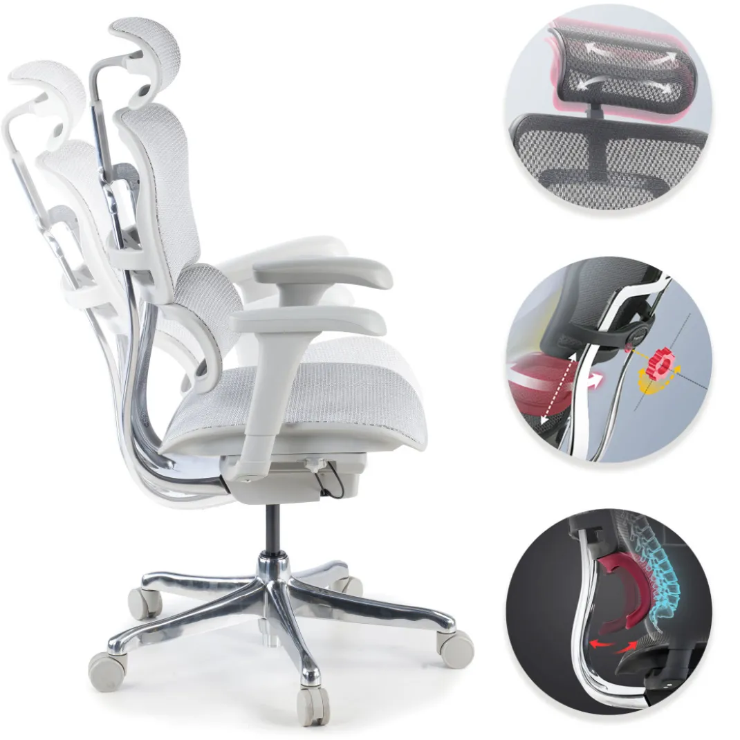Silla ergonómica Ergohuman gen2, estructura gris