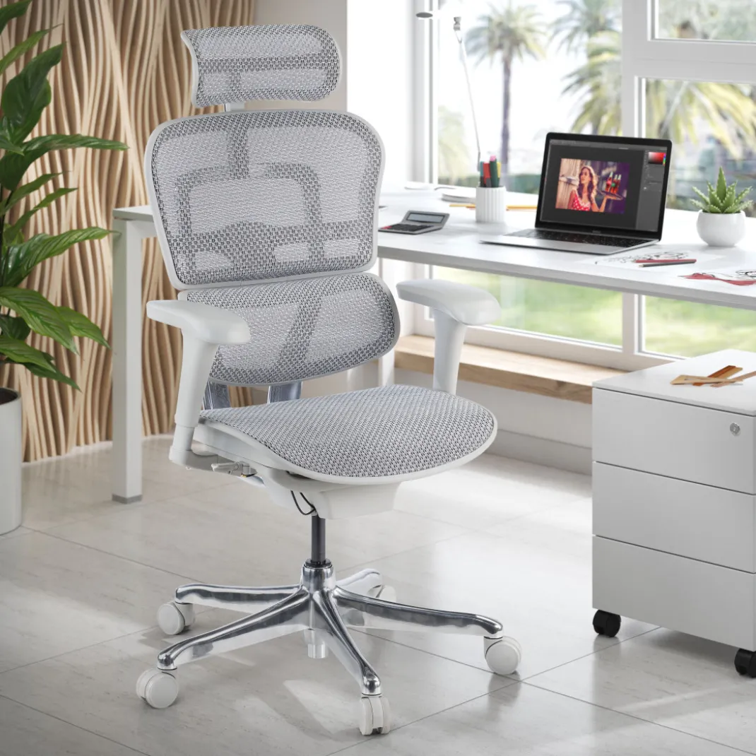 Silla ergonómica Ergohuman gen2, estructura gris
