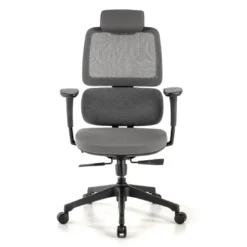 Silla ergonomica Focus, reposacabezas, doble cojin lumbar