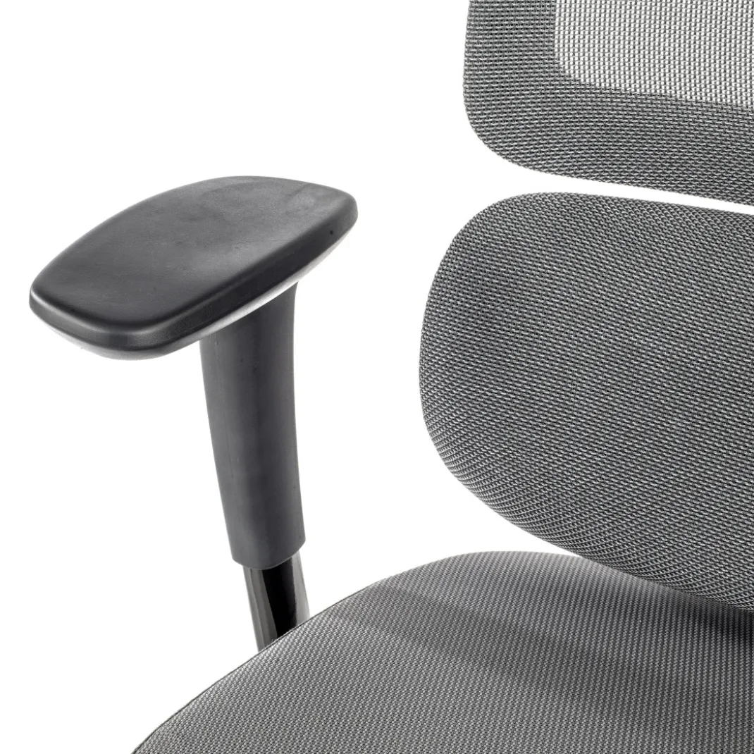 Silla ergonomica Focus, reposacabezas, doble cojin lumbar