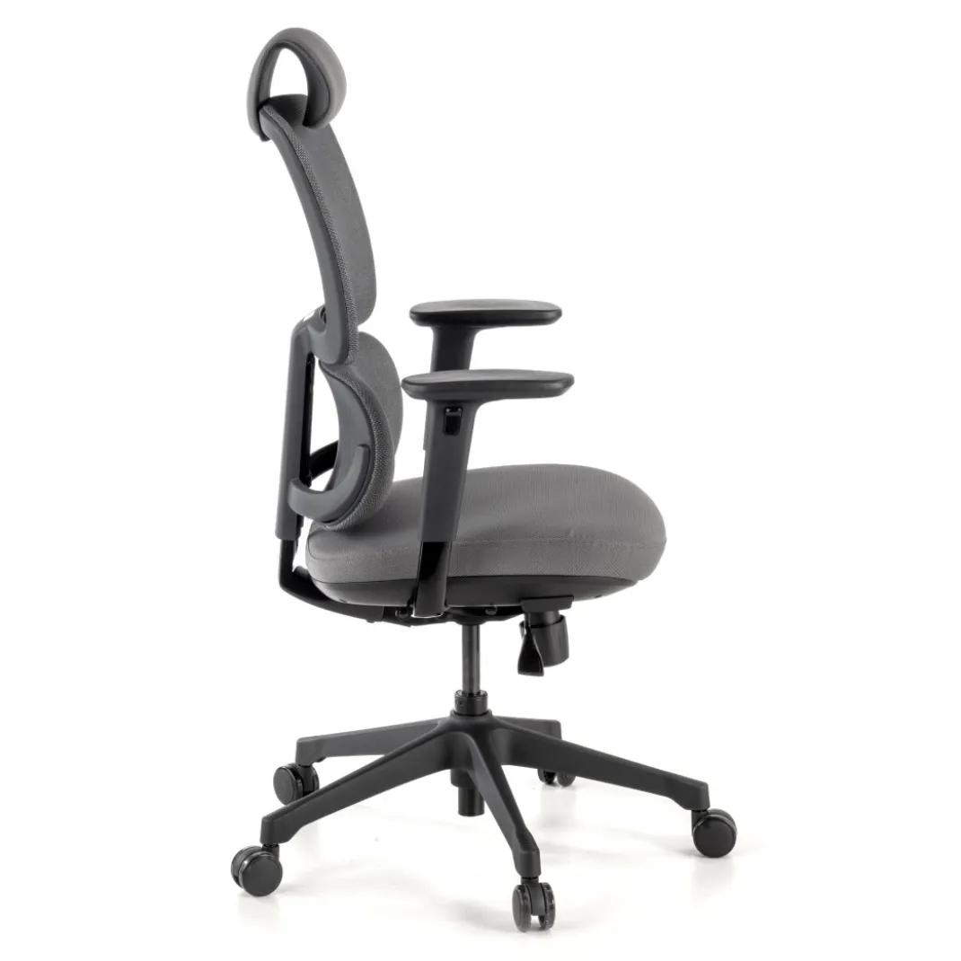 Silla ergonomica Focus, reposacabezas, doble cojin lumbar