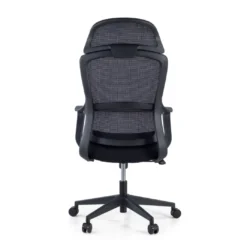 Silla Giratoria de Escritorio Astra, cojin lumbar